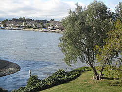 Property rental in San Mateo CA