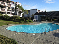 Photo42616